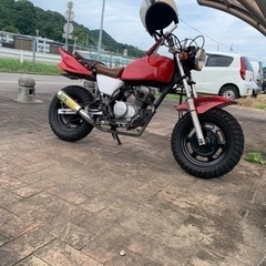 エイプ50