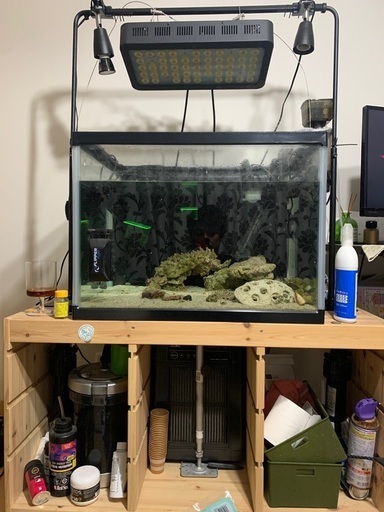 海水魚飼育セット　水槽　ヒーター　ライト　水流ポンプ　ライブロック　殺菌灯