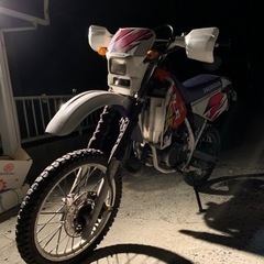 再掲載　CRM50 不動　AD13 