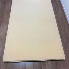 True Sleeper(トゥルースリーパー)プレミアムセミダブ...