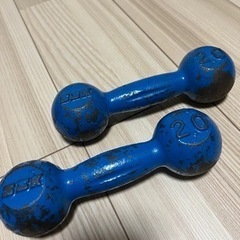 青ダンベル　(所々塗装の剥がれアリ)