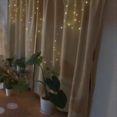 LEDイルミネーションジュエリーライト100球