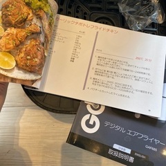 フライヤー 未使用品⭐︎の画像