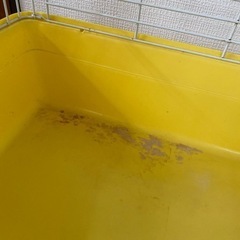 購入者決定✨小動物用ゲージの画像