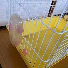 購入者決定✨小動物用ゲージの画像