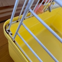 購入者決定✨小動物用ゲージの画像