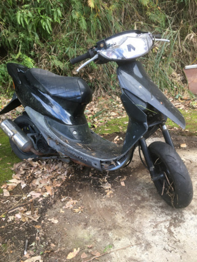 ホンダ　ライブディオ　AF35