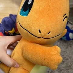 ポケモンぬいぐるみセットの画像
