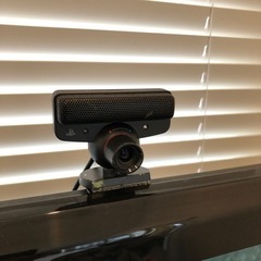 PS3 eye, Moveモーションコントローラー他
