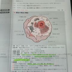QUESTION　BANK（クエスチョン・バンク）2019　2冊セットの画像