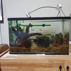 アクアリウム用品の画像