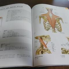 !!美品!!　プロメテウス　解剖学アトラスの画像