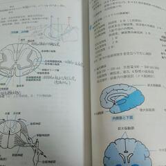 国試の達人2019　3冊セット!の画像