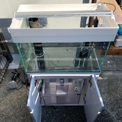 オーバーフロー水槽セット(値下げ)