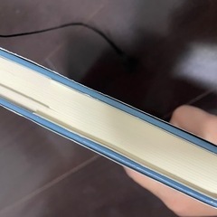 劇団ひとり　陰日向に咲く　小説の画像