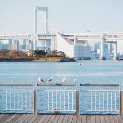 【カメラ初心者歓迎】一緒に写真を撮りに行ける方いませんか？ − 東京都