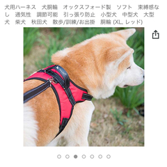 Tailup 犬用 歩行補助ハーネス 胴輪 XLサイズ レッドの画像