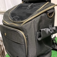 ねこ お出かけ リュックの画像