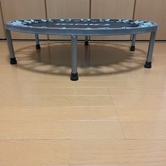 子供大好きトランポリン　大人のちょっとした運動にもの画像