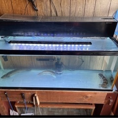  値下げしました。1200×45×45 ガラス水槽 水槽台 アクリル蓋 上部フィルター