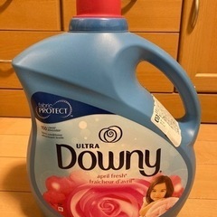 ダウニー