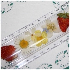 【1/29 川越蔵のまち】押し花定規作りWS