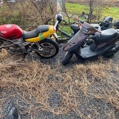 vt250スパーダ Dio カブ90 gダッシュ シグナス
