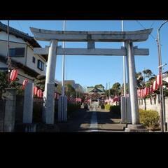 終了致しました  12月31日茂原市 高師八幡神社で 🌈レインボーカップわたあめ無料配布          - 茂原市