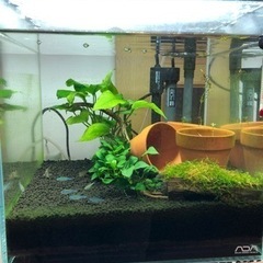 お取引済み