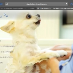 出張型トリミングサロン