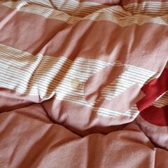 こたつカバー、敷マットお譲りします。の画像