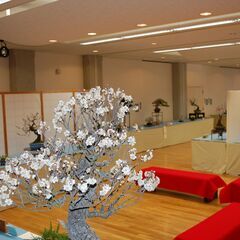 盆梅展　※新型コロナ感染拡大の状況により中止となりました