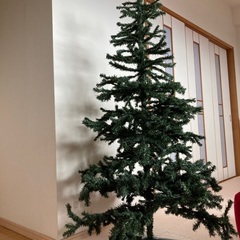 クリスマスツリーの画像