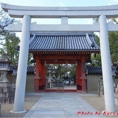 ⛩初詣🎍一緒に詣でましょう‼️