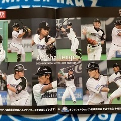 日本ハムファイターズ大量ファンズボード