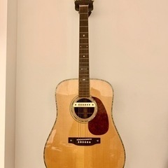 【ARIA Dreadnought】AD-80N LR Bagg...