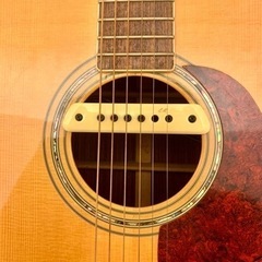 【ARIA Dreadnought】AD-80N LR Baggs ピックアップ付の画像
