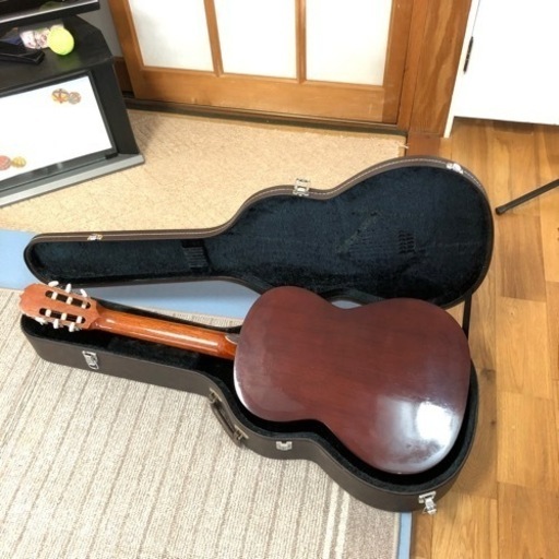 鈴木バイオリン クラシックギター Model80 【公式通販】