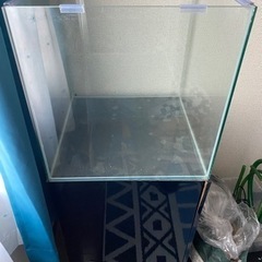 値下げしました！45cmキューブ 水槽 台付き