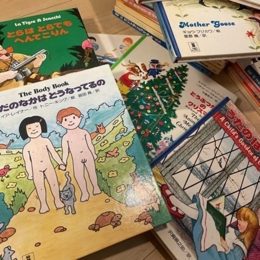【1/20まで！】知能教育本　絵本のみ　清水　計22冊　集英社