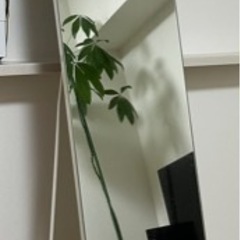 【Francfranc】姿見／全身鏡の画像