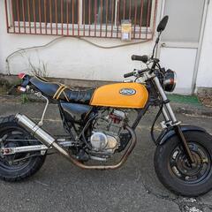 動画有り　エイプ50 ボアアップ　実動