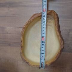 爬虫類　餌皿　エキゾテラ　EXO TERRAの画像