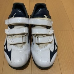 少年野球アップシューズ　24.5cm