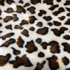 ⭐️【中古】ヒョウ柄のラグの画像