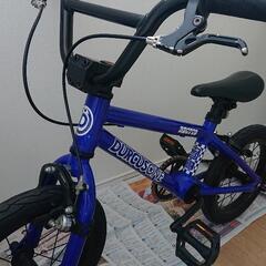 ダーカスワン RECTUS 14インチの画像