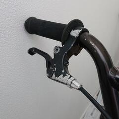 ダーカスワン RECTUS 14インチの画像