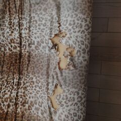 ヒョウ柄ソファー(破れ・修正箇所あり)の画像
