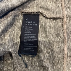 アメリカンイーグル　Tシャツの画像