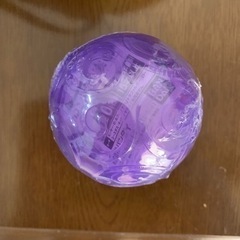 ワンピの実の画像